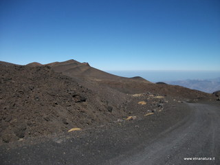 nte Pizzillo-21-10-2012 11-03-00
